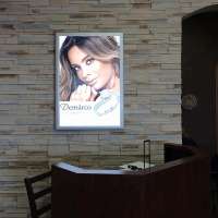 LED Advertising Lightbox Signs